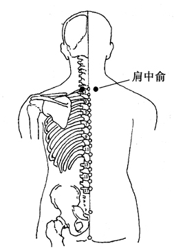 图 3-3-2 肩中俞肩髃:见前.