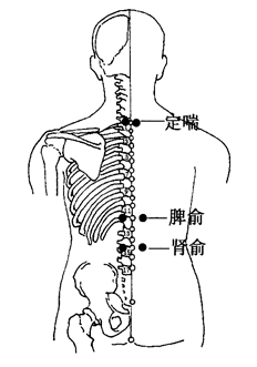 图 2-5-4 定喘,脾俞,肾俞 图 2-5-5 关元后面内容更精彩,点击图片进入