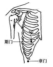 ʹİιƷ(1)_ͼ